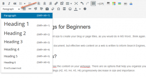 Heading and H1 Tags - WordPress