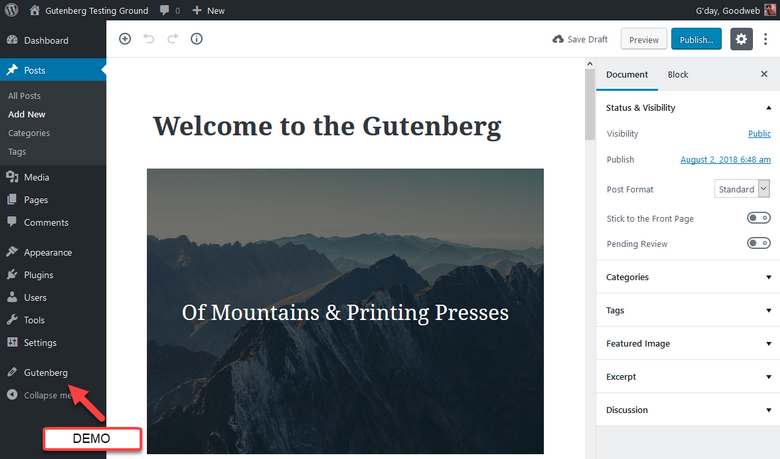 Gutenberg Plugin demo